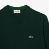 Erkek Crew Neck Pamuklu Kazak