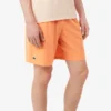 Erkek Lacoste Tennis X Novak Djokovic Şort