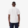 Erkek Regular Fit Kısa Kollu Oxford Gömlek