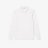 Erkek Regular Fit Paris Stretch Piqua Polo Tişört