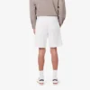Erkek Regular Fit Polar Şort