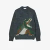 Erkek Örgü Intarsia Timsah Desenli Kazak