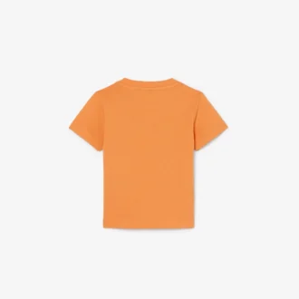 Grafik Baskılı Pamuklu Tişört