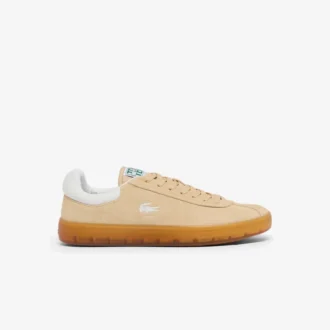 Kadın Baseshot Süet Sneaker