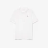 Kadın Slim Fit Ultra Dry Stretch Golf Polo Tişörtü